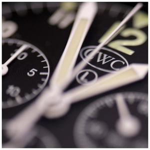 Cabot Sea Falcon Watch - Black